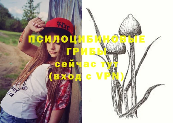 кокс Алексеевка