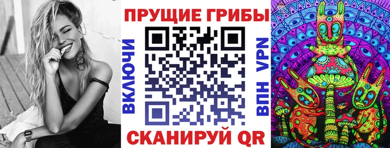 ОМГ ОМГ ТОР  Зуевка  Галлюциногенные грибы Psilocybine cubensis 